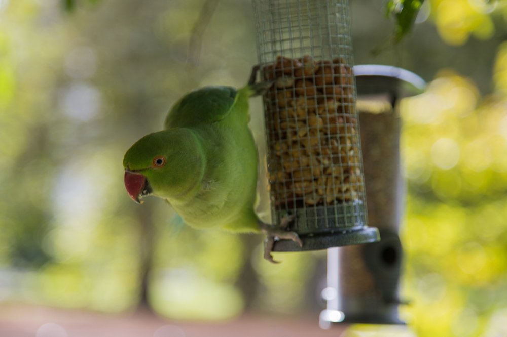 Photograph by Marie Dashkova