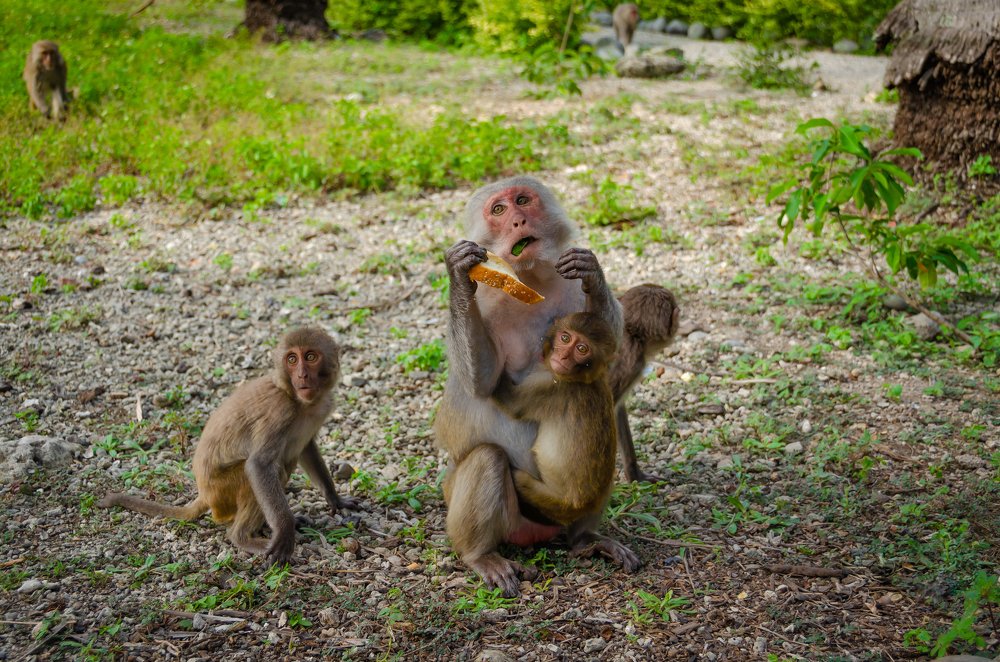 Фотография автора Татьяна Степанова