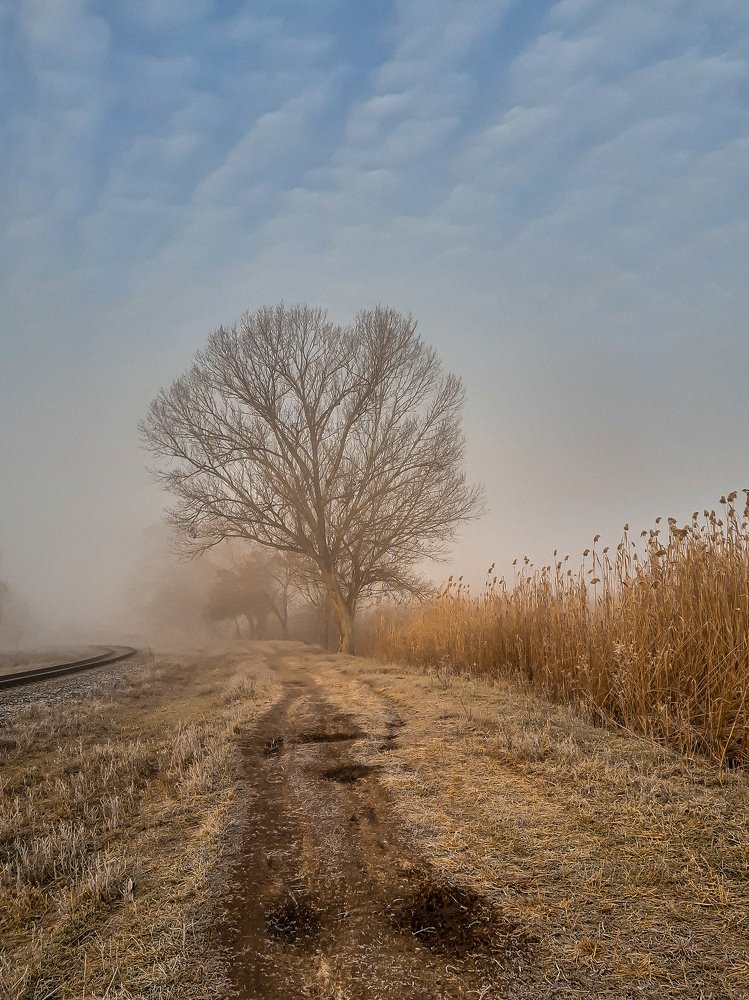 На грани тумана