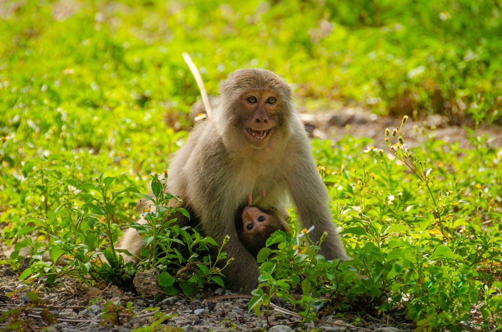 Фотография автора Татьяна Степанова