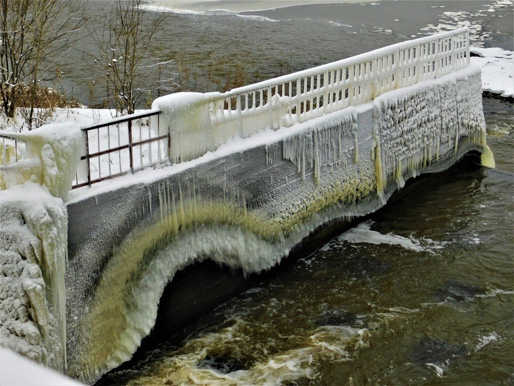 Photograph by Чкареули Светлана