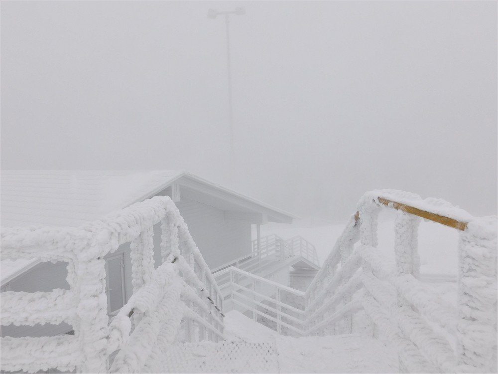 Photograph by Чкареули Светлана