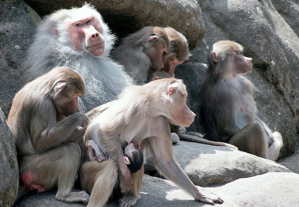 Photograph by Alexander Matschin