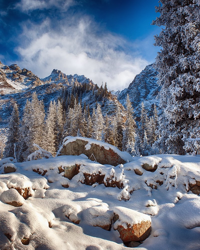 Радость зимнего дня