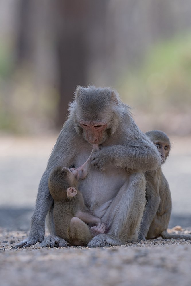 Photograph by Kapish Rai