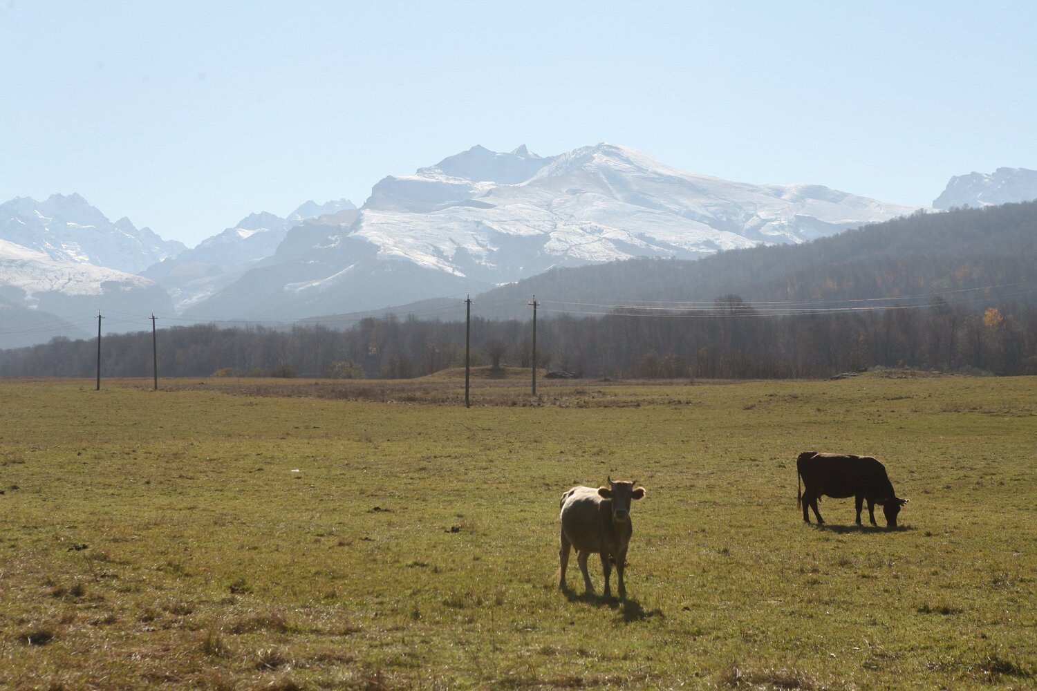 Photo #4049474