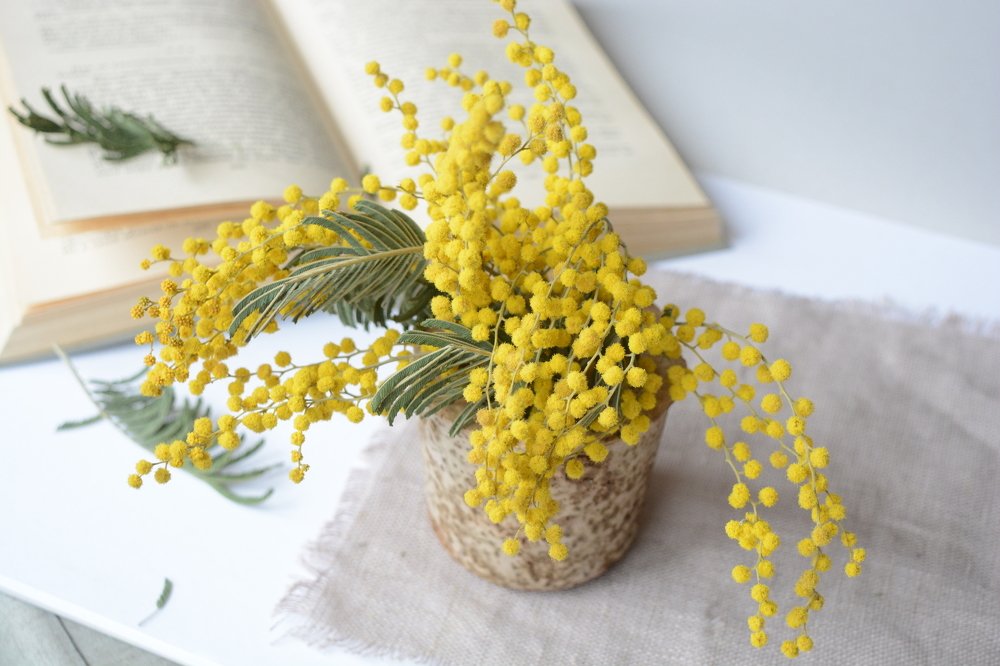 Photograph by Мария Кошевец