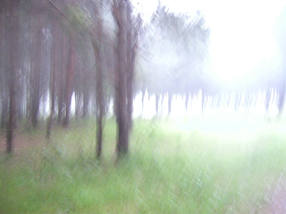 Photograph by миша