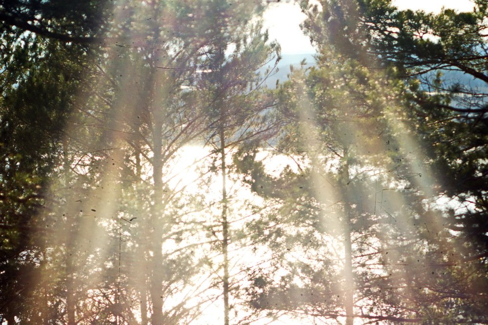 Photograph by миша