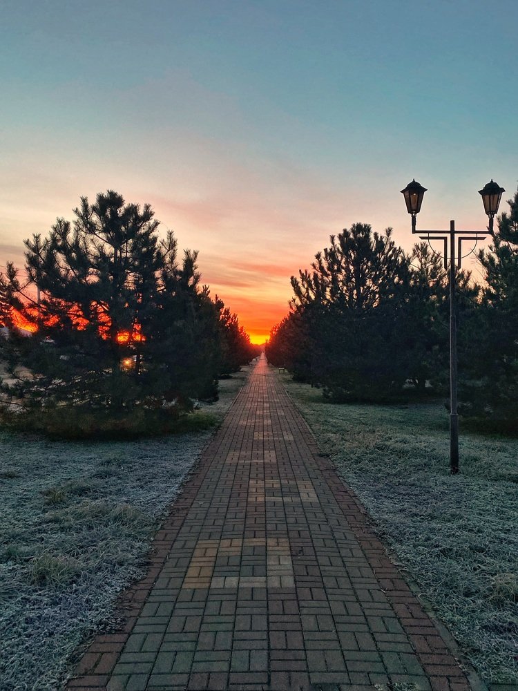 Зимний рассвет