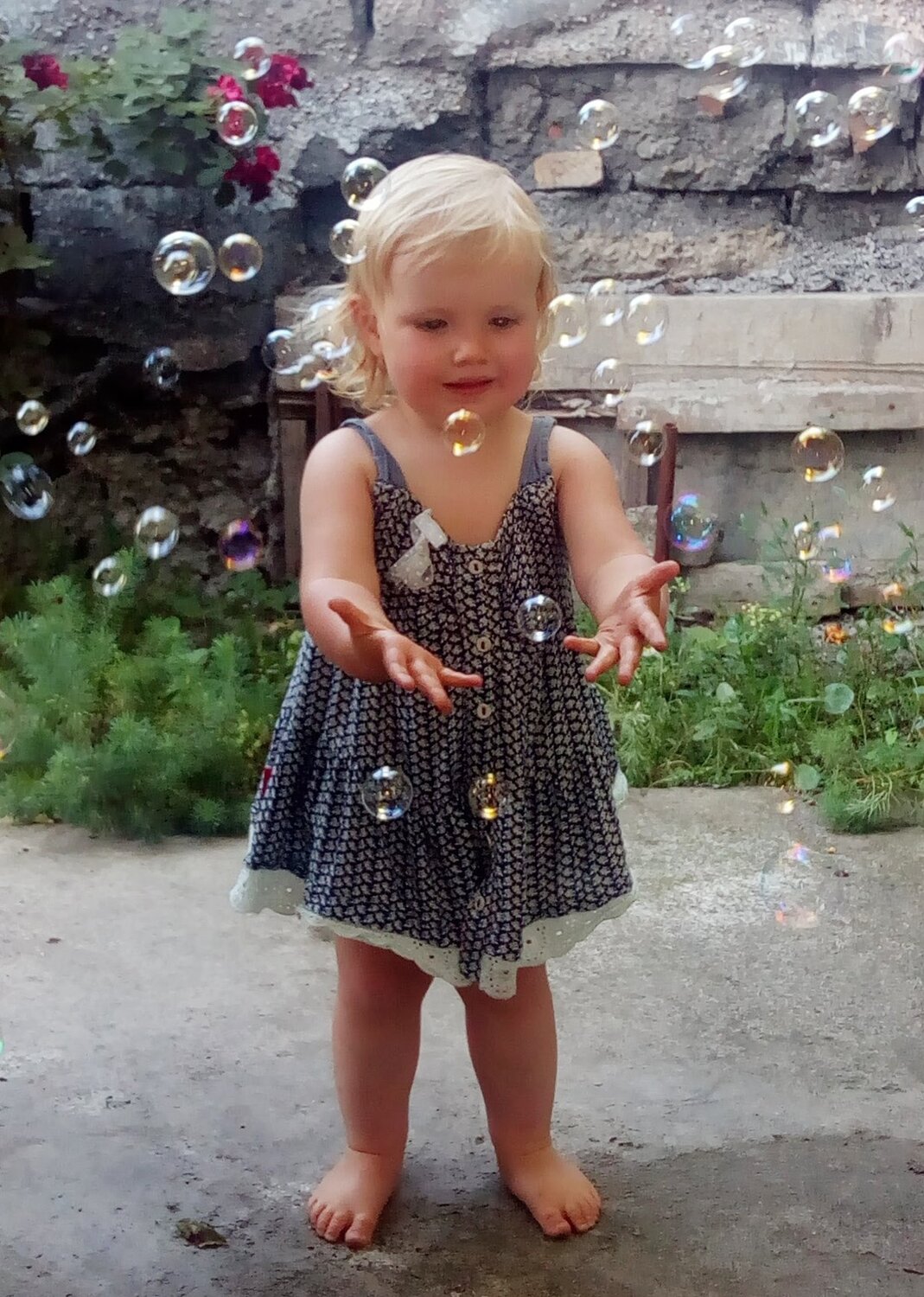 Photo #4049698