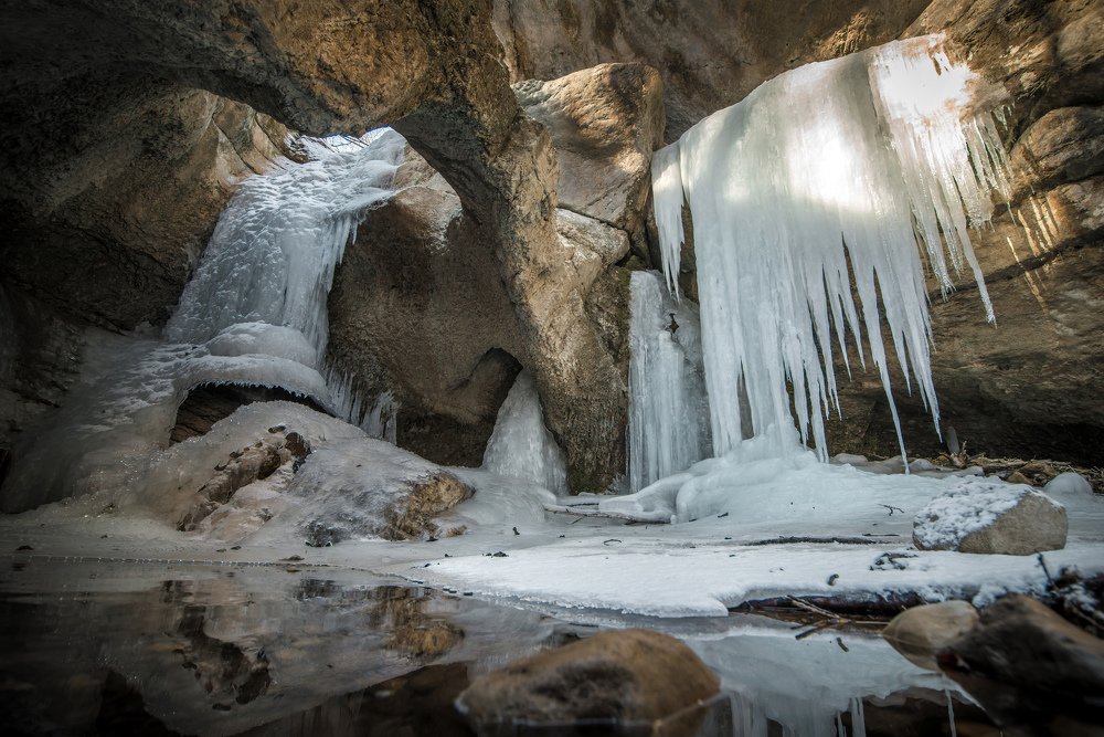 Фотография автора Анна Василенко
