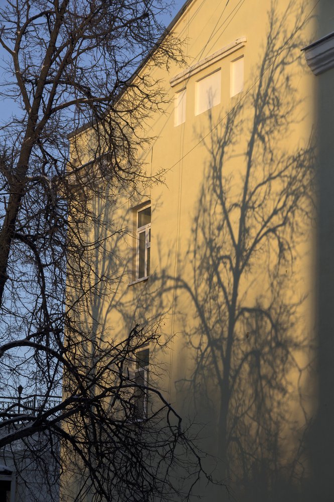 Photograph by Утёмов Сергей