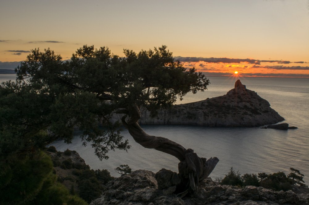 Фотография автора Надежда Павлова