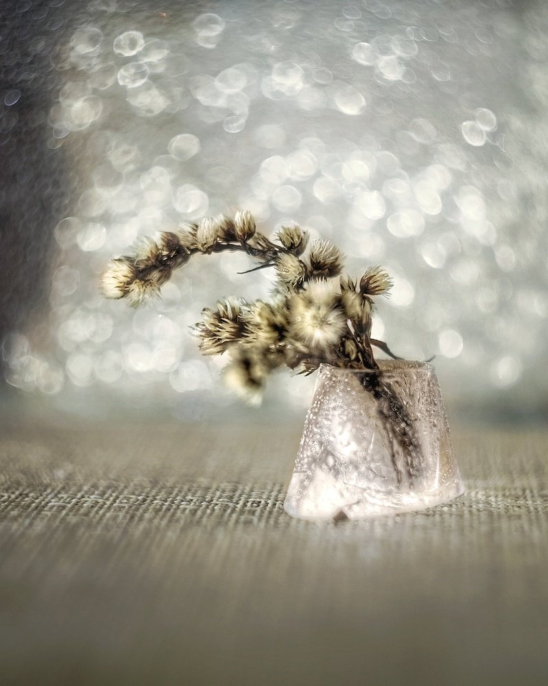 Осеннее настроение