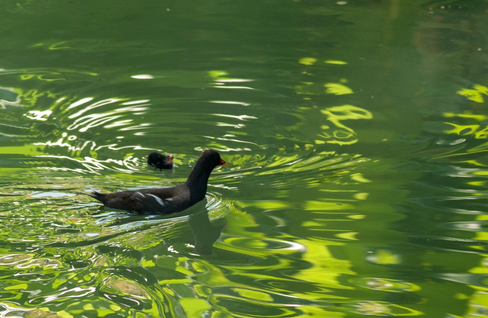 Photograph by Денис Кичев