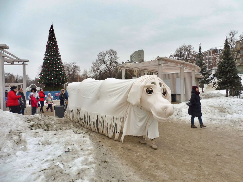 Фотография автора Клавдия Васильева