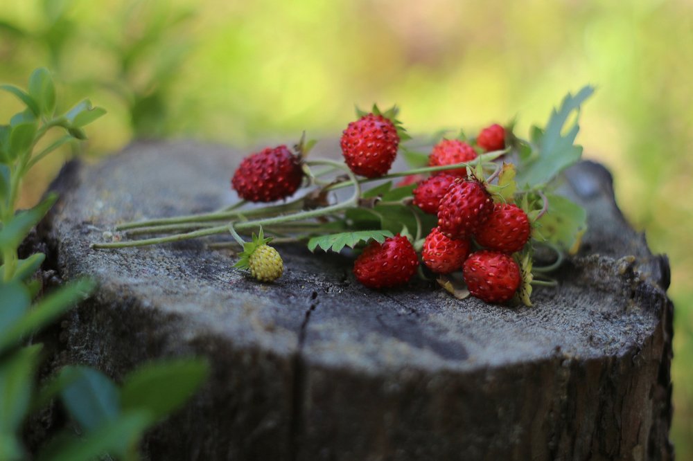 Photograph by Анна Звонарева