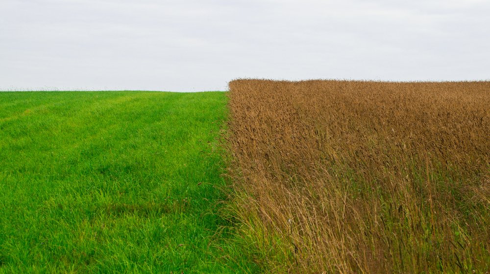 Photograph by Евгений Калагаев