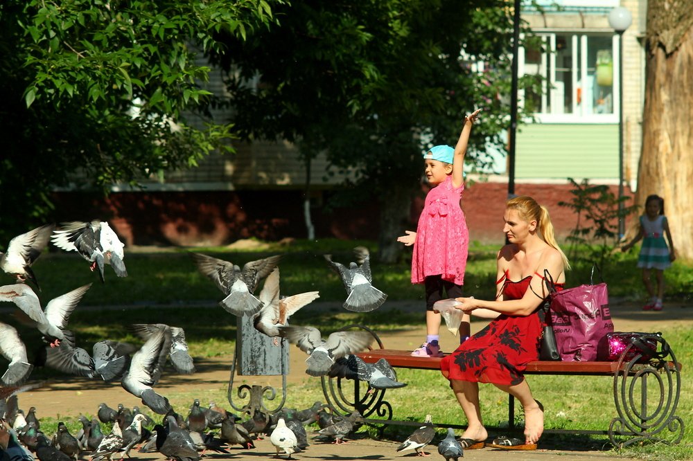 Фотография автора Геннадий Титов