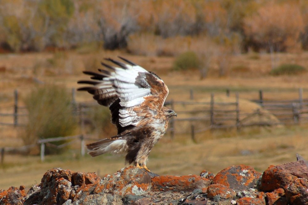 Photograph by Жбир Денис