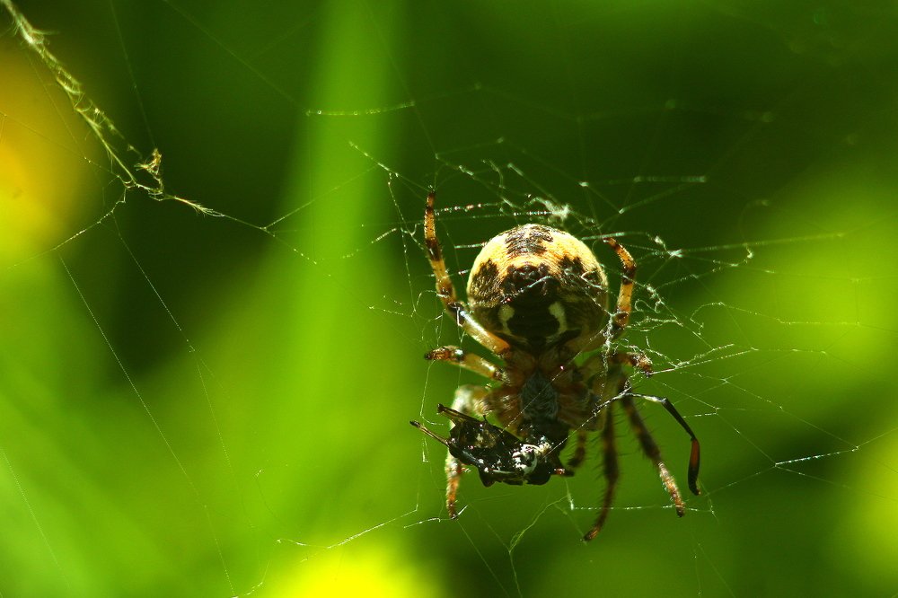 Фотография автора Геннадий Титов