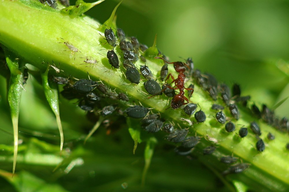 Фотография автора Геннадий Титов