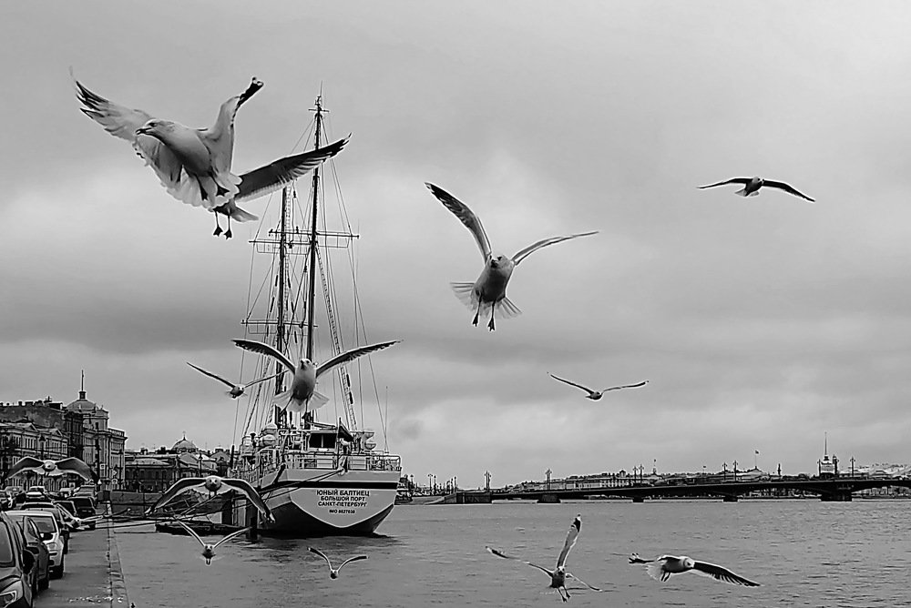 Photograph by А. Масленников