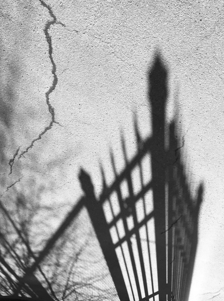 Photograph by Анастасия Ломаева