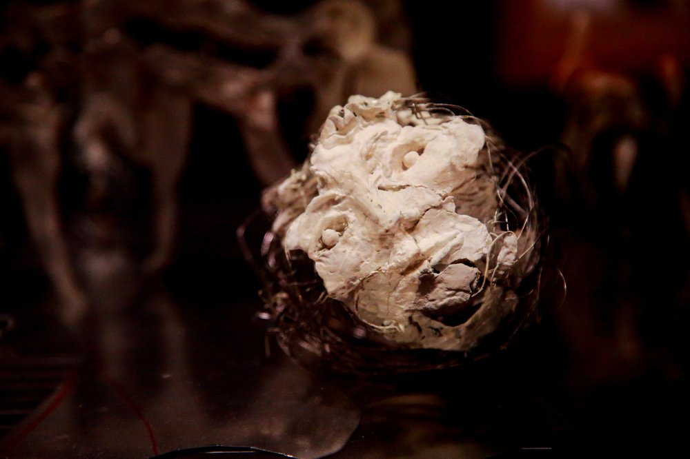 Photograph by Michael Sumerin