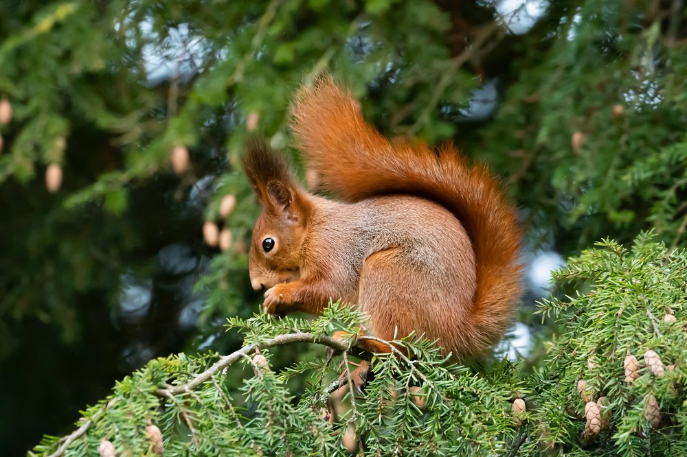 Photograph by Viktor Makarov