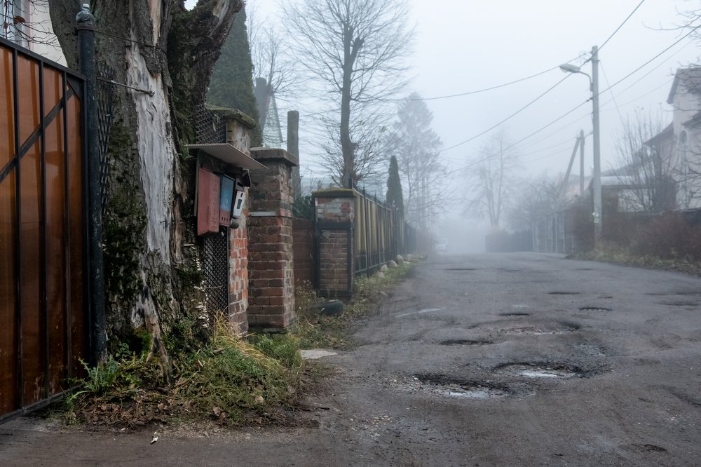 Photograph by Миленькая Наталья