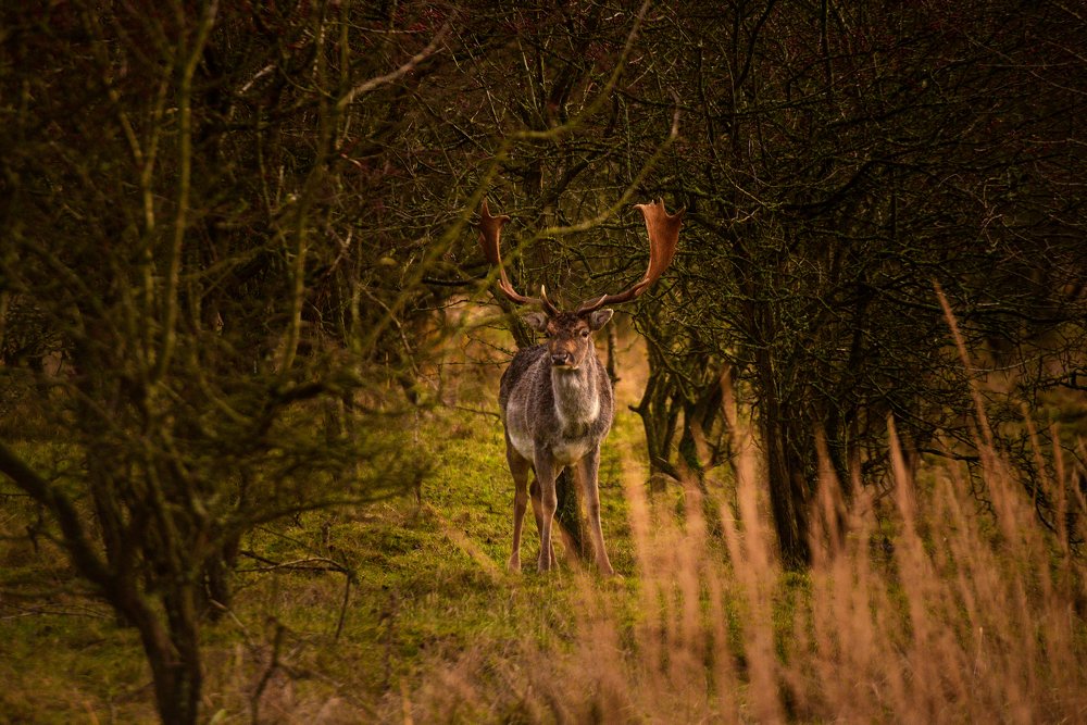 Photograph by Константин Костин