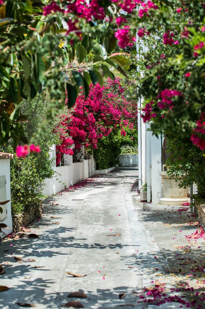 Photograph by Анастасия Ломаева