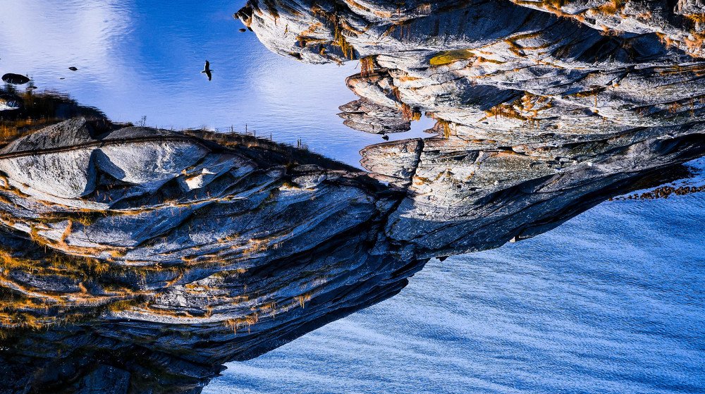 The flight of perspective