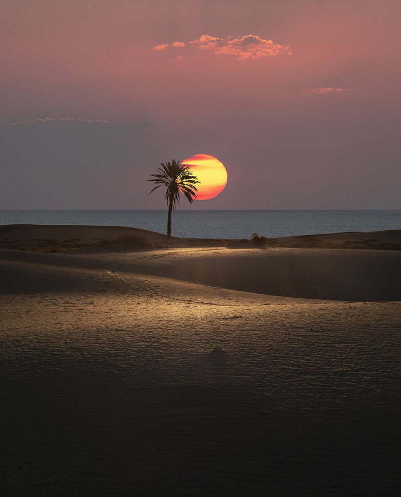 Photograph by Shahriar Dabiri