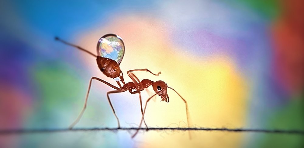 Фотография автора Analiza Daran De Guzman