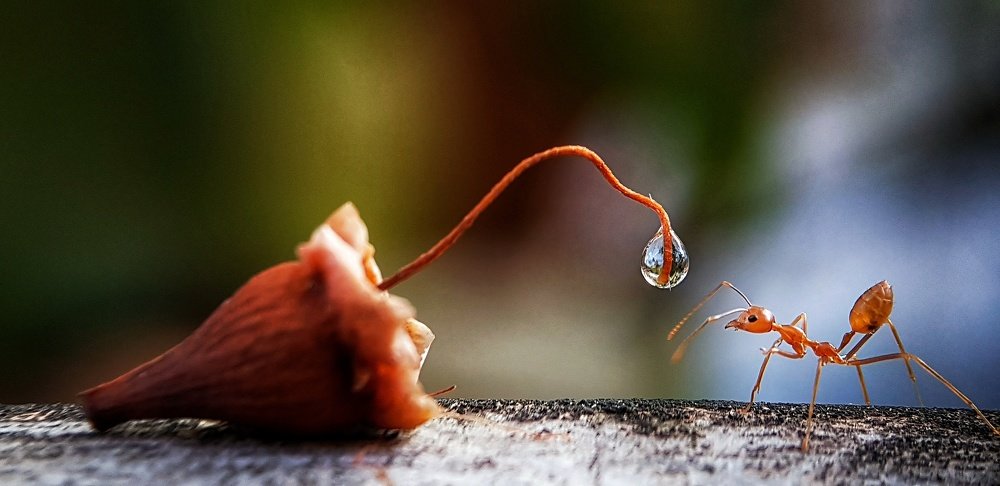 Фотография автора Analiza Daran De Guzman