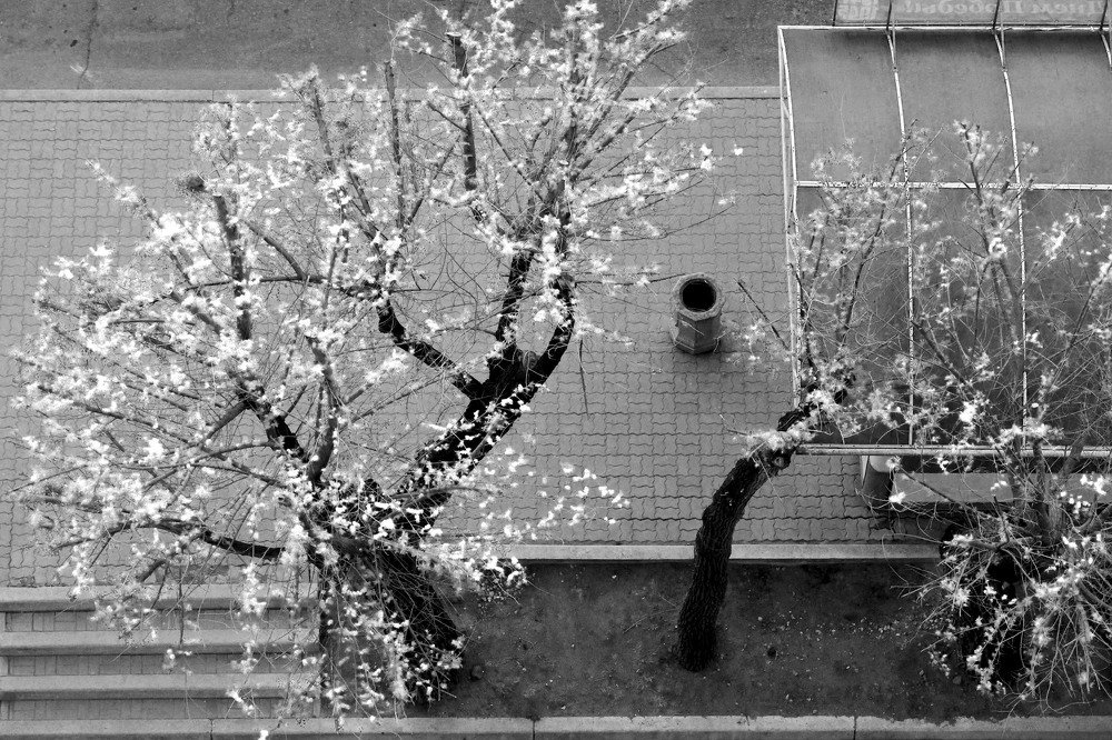 Photograph by Павел Таримов