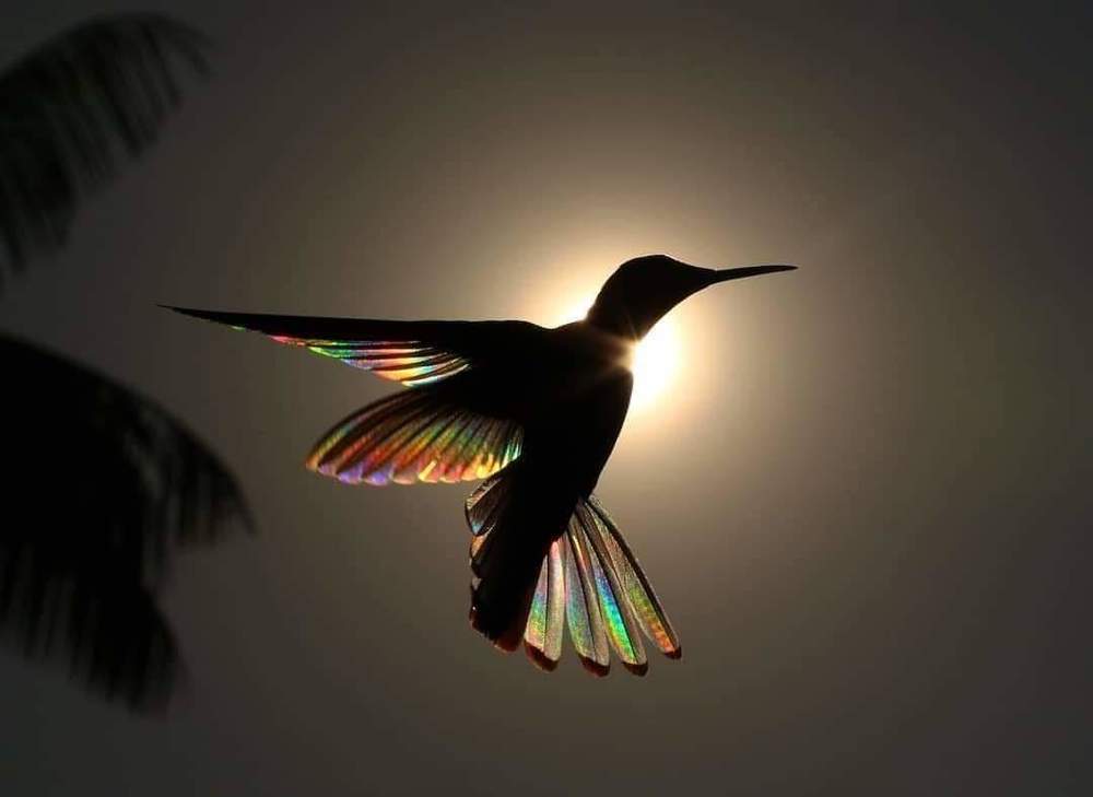 Photograph by Daniela Nogales