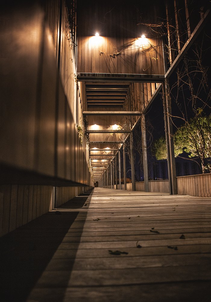 Photograph by EKATERINA WALTER