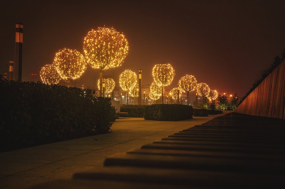 Photograph by EKATERINA WALTER