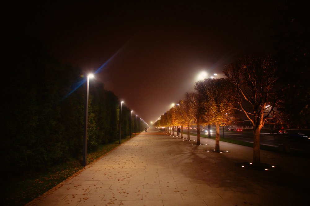 Photograph by EKATERINA WALTER