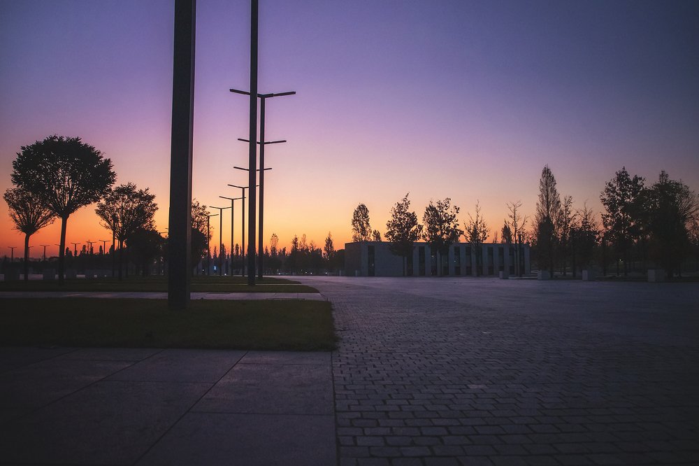 Photograph by EKATERINA WALTER