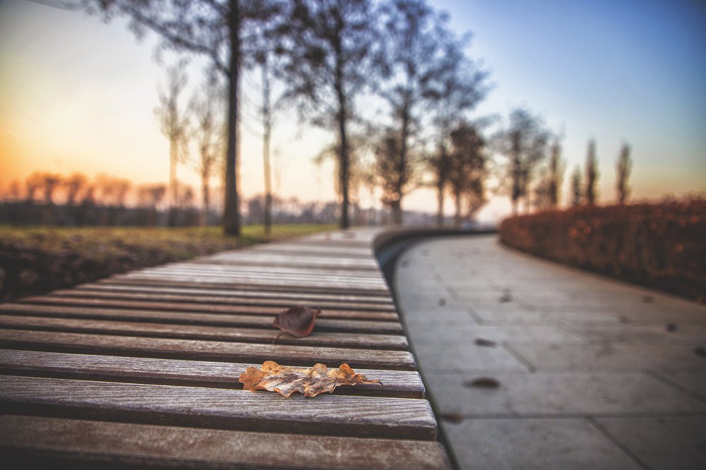 Photograph by EKATERINA WALTER