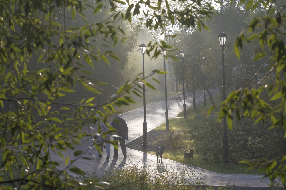 по тихой улочке