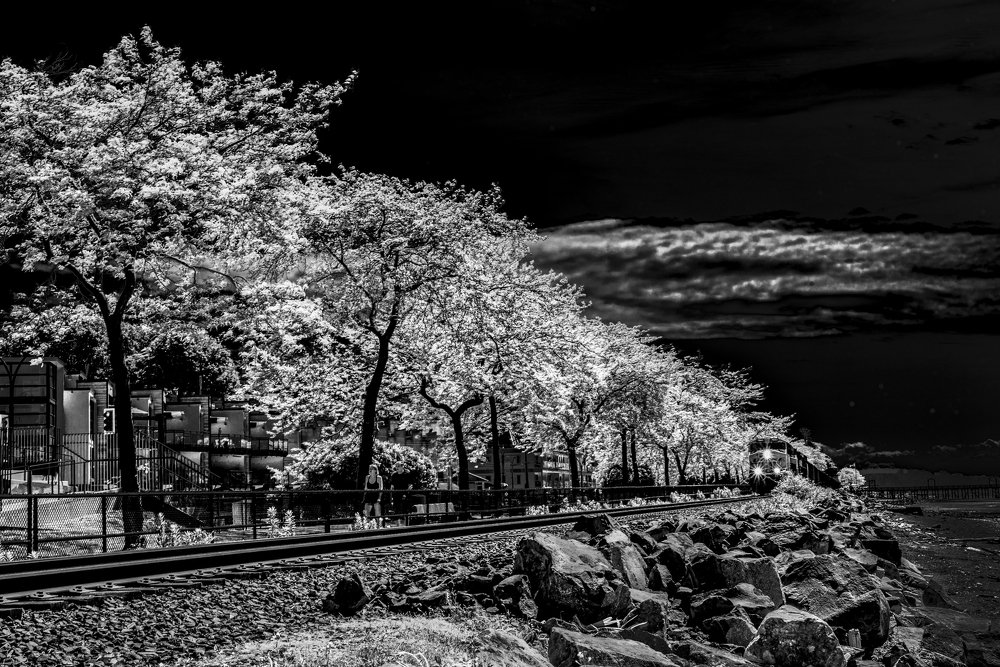 Photograph by Ela Opatowiecka