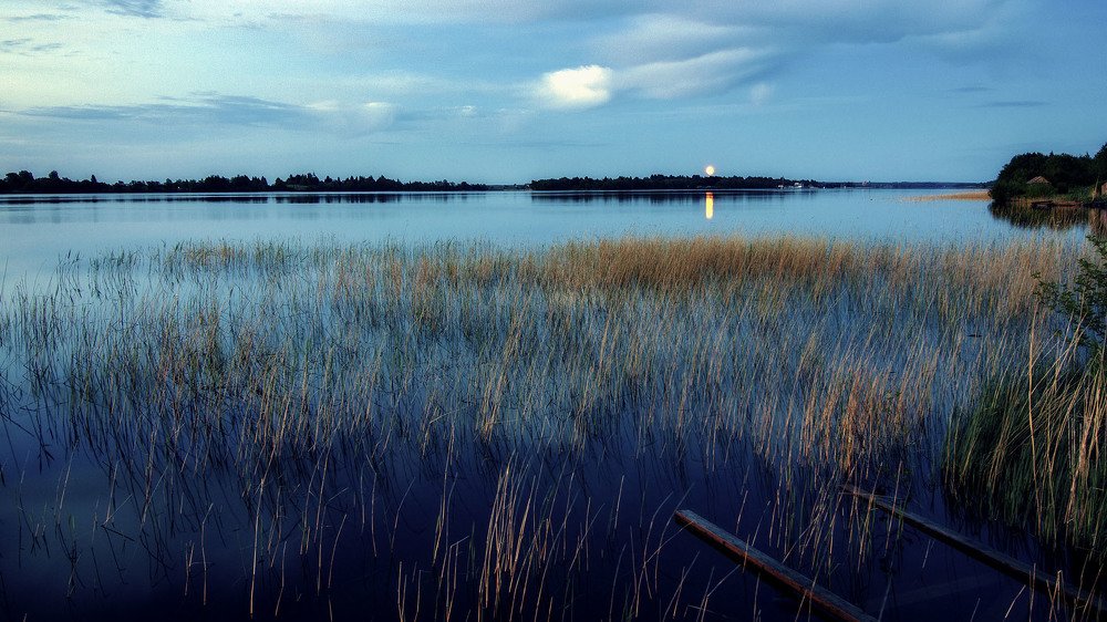 Заонежье. Белая ночь.