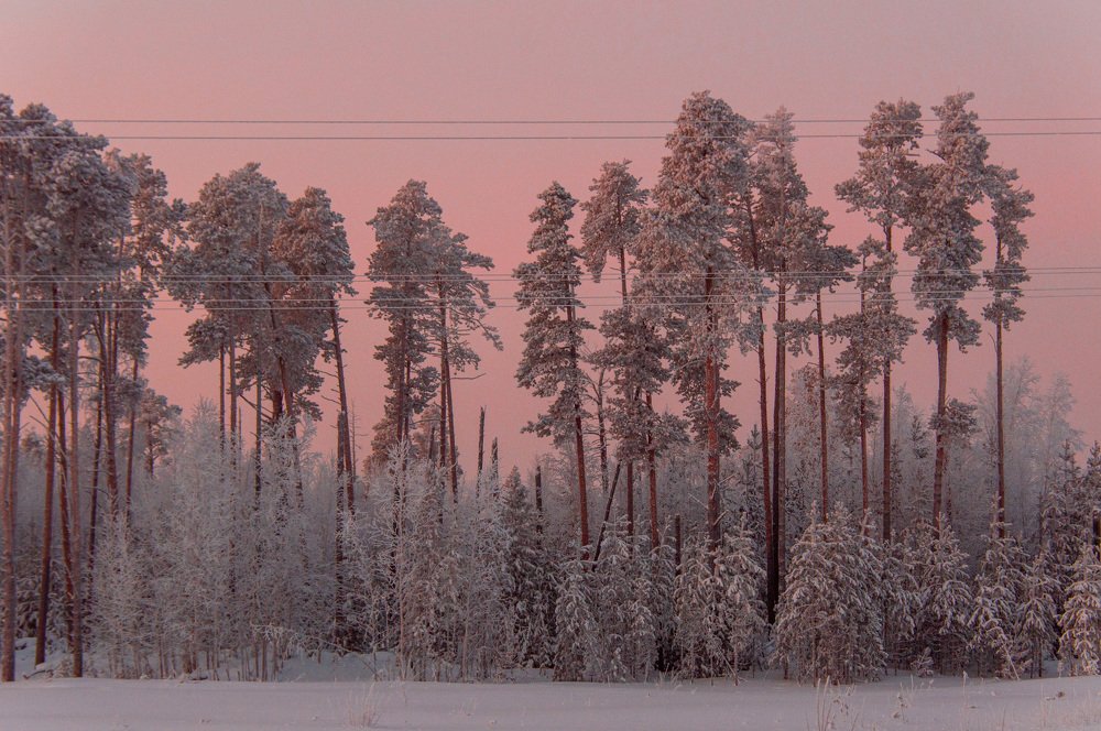 Photograph by Константин Михайлов