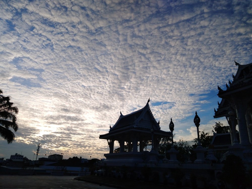 Photo #4051042